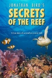 Secrets of the Reef