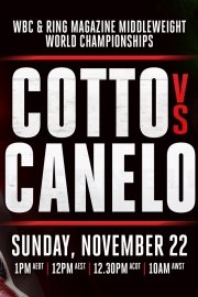 Boxing's Best of 2015: Cotto vs. Canelo