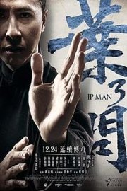 watch ip man 1 english sub