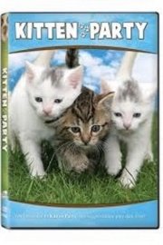 Kitten Party