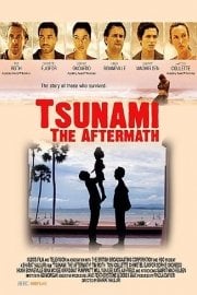 Tsunami, The Aftermath Part 1