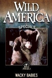 Wild America: Wacky Babies