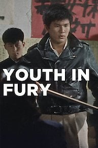 Youth in Fury