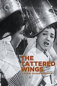 The Tattered Wings