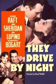 They Drive by Night