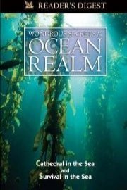 Wondrous Secrets of the Ocean Realm: Cathedral in the Sea & Survival in the Sea