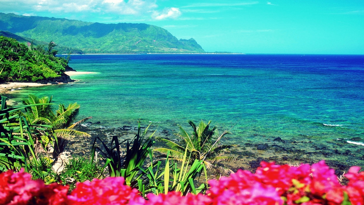 HD Moods: Hawaii