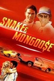 Snake And Mongoose