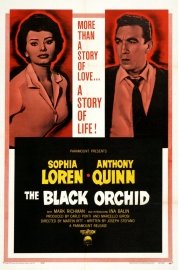 The Black Orchid