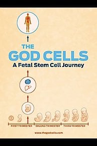 The God Cells