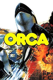 Orca: The Killer Whale