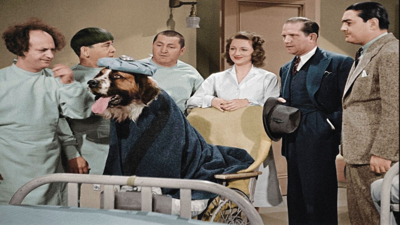The Three Stooges: Shorts - In Color