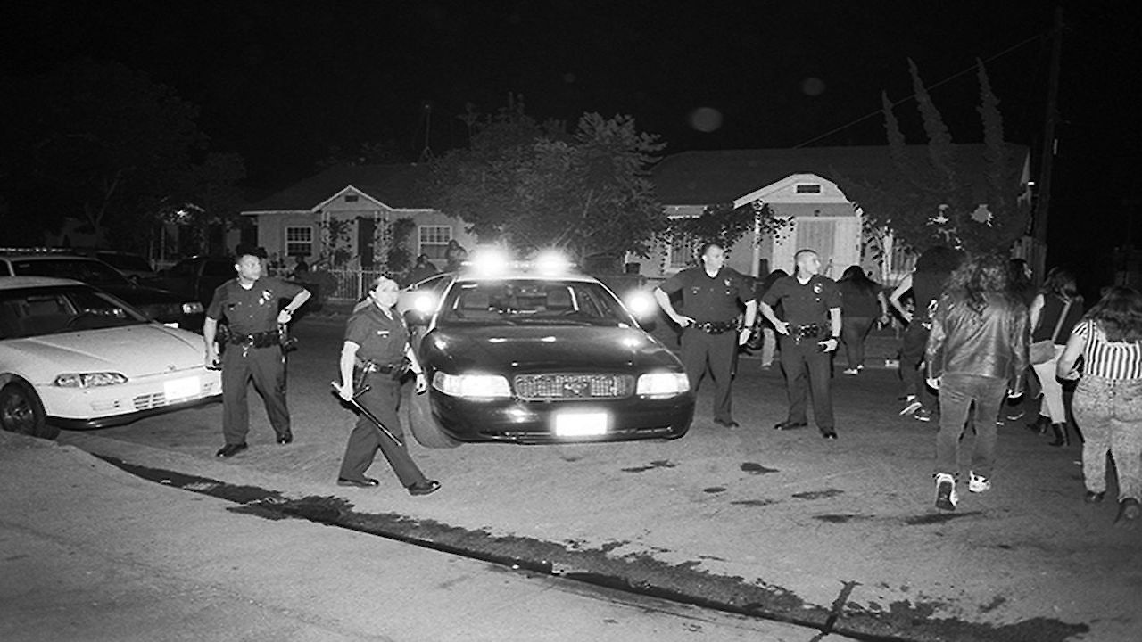 Los Punks: We Are All We Have