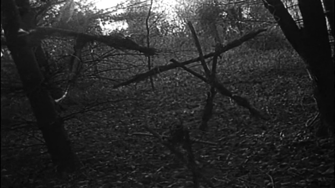curse of the blair witch