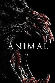 animal