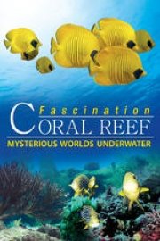 Coral Reef