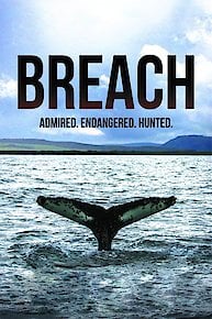 Breach