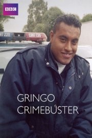 Gringo Crimebuster