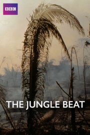 The Jungle Beat