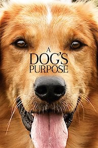 A Dog's Purpose