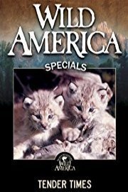 Wild America: Tender Times