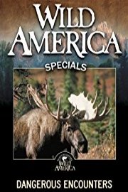 Wild America: Dangerous Encounters