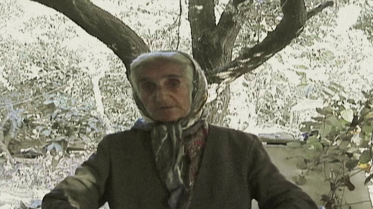 Anjar: Flowers, Goats and Heroes