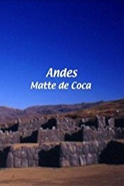 Andes Andes: Matte de Coca