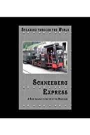 Steaming Through Austria Schneebergbahn A Rack Railway to the top of the Schneeberg