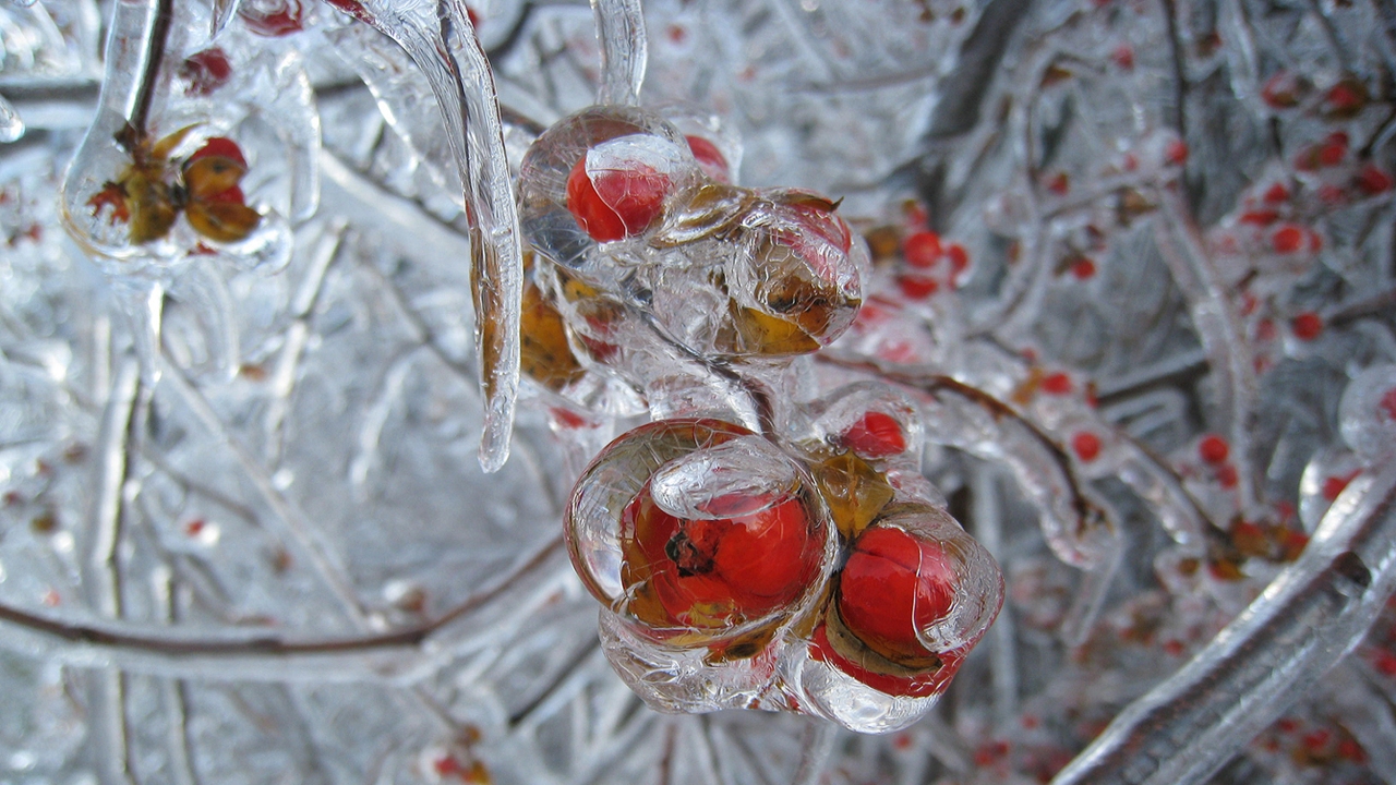 Extreme Environments Ice