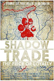 Shadow Trade