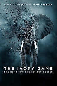 The Ivory Game