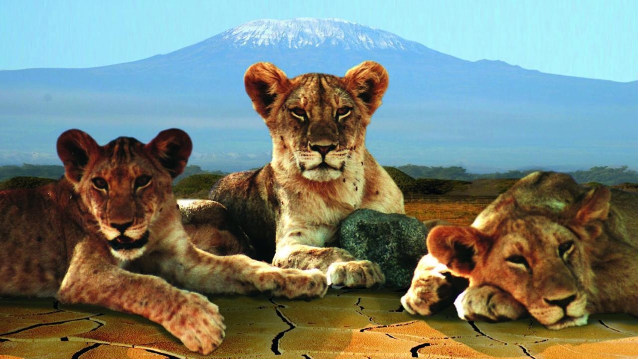 Surviving the Drought