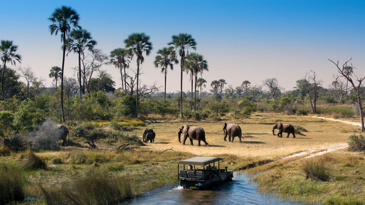 Nature Wonders OKAVANGO DELTA Botswana