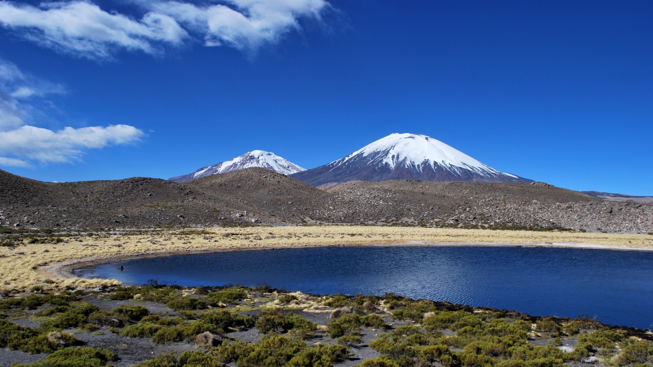 Nature Wonders Lauca National Park Chile