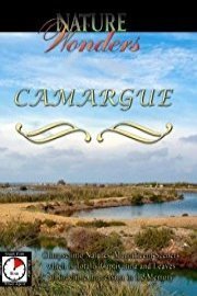 Nature Wonders CAMARGUE Provence/France