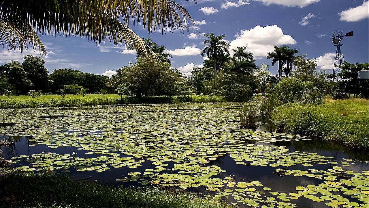 Nature Wonders CIENAGA DE ZAPATA Cuba