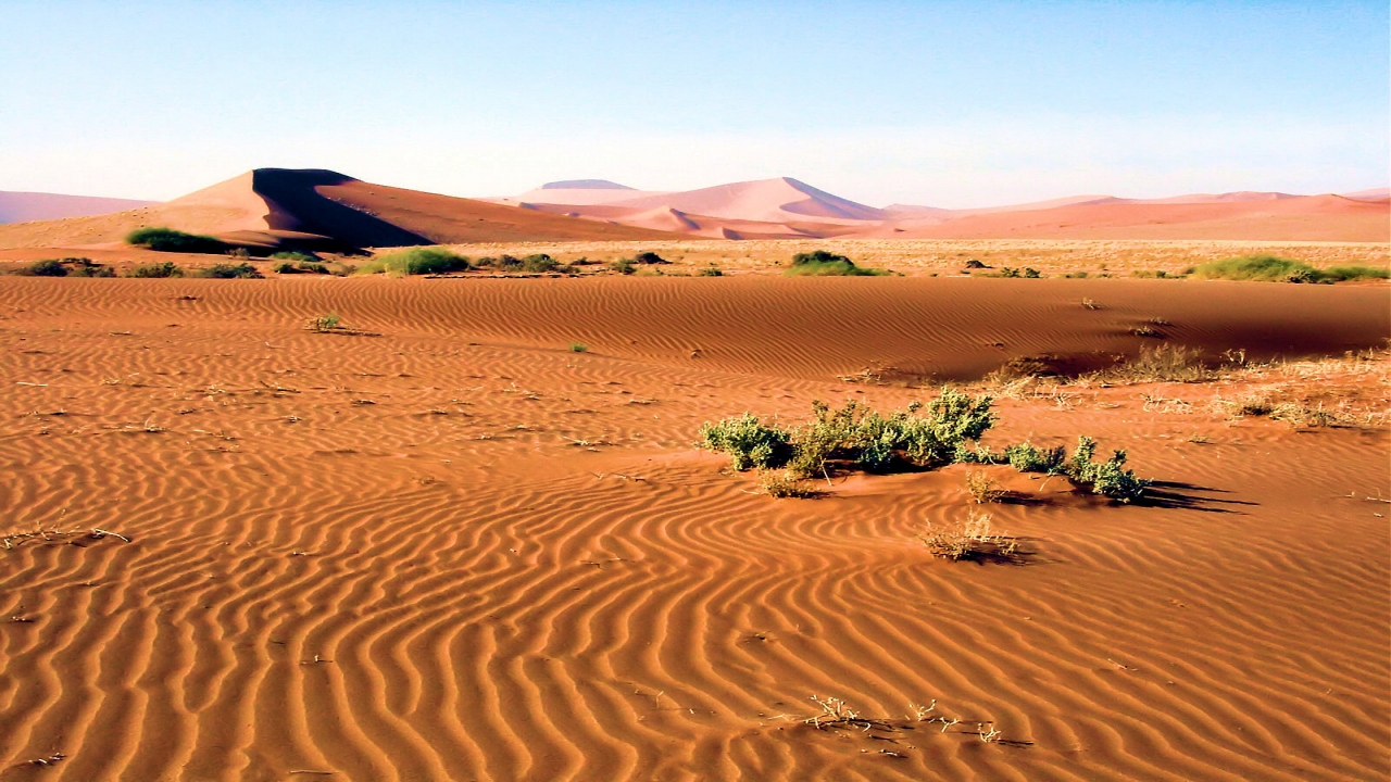 Nature Wonders NAMIB NAUKLUFT Namibia