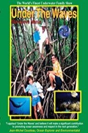 Mangrove Mania
