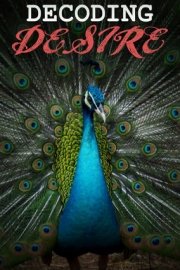 Decoding Desire