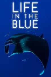 Life in the Blue