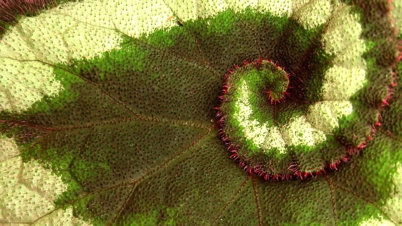 Inner Worlds Outer Worlds - Part 2 - The Spiral