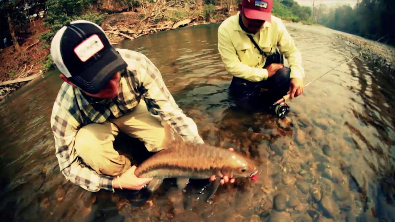 Fly Fishing Film Tour 2013