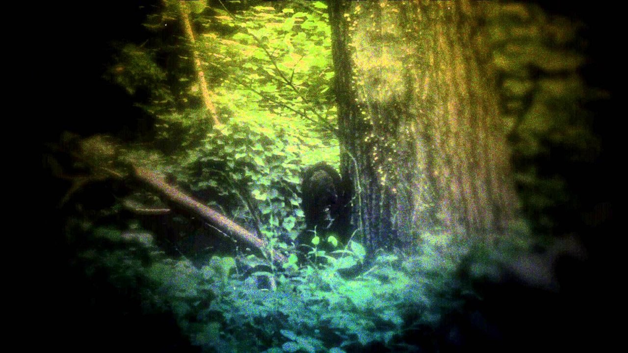 Black Water Sasquatch