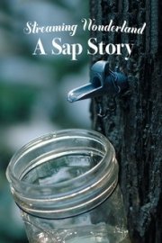 A Sap Story