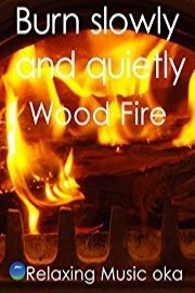 Burn slowly and quietly Wood Fire