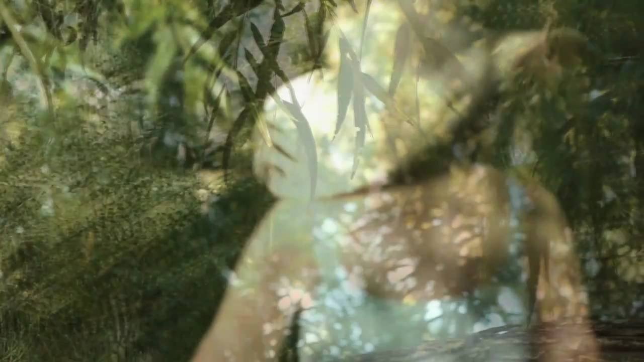 The Song Within: Sedona