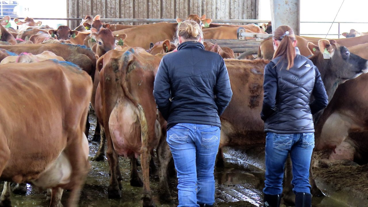 Milk Men: The Life and Times of Dairy Farmers