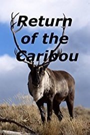 Return of the Caribou