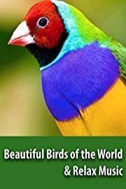 Beautiful Birds of the World & Relaxing Music - BaLu - Relaxing Nature